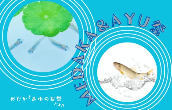ＭＥＤＡＫＡ＆ＡＹＵ祭開催決定!!