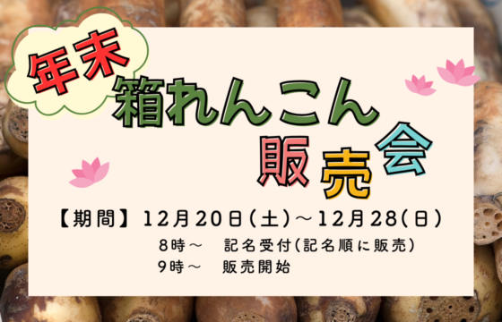 2025年 年末箱れんこん販売会開催!!