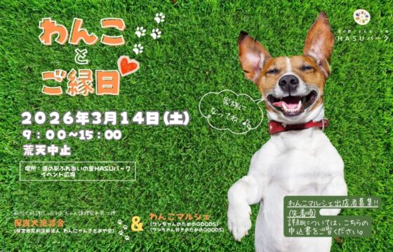 わんことご縁日❤　イベント開催!!